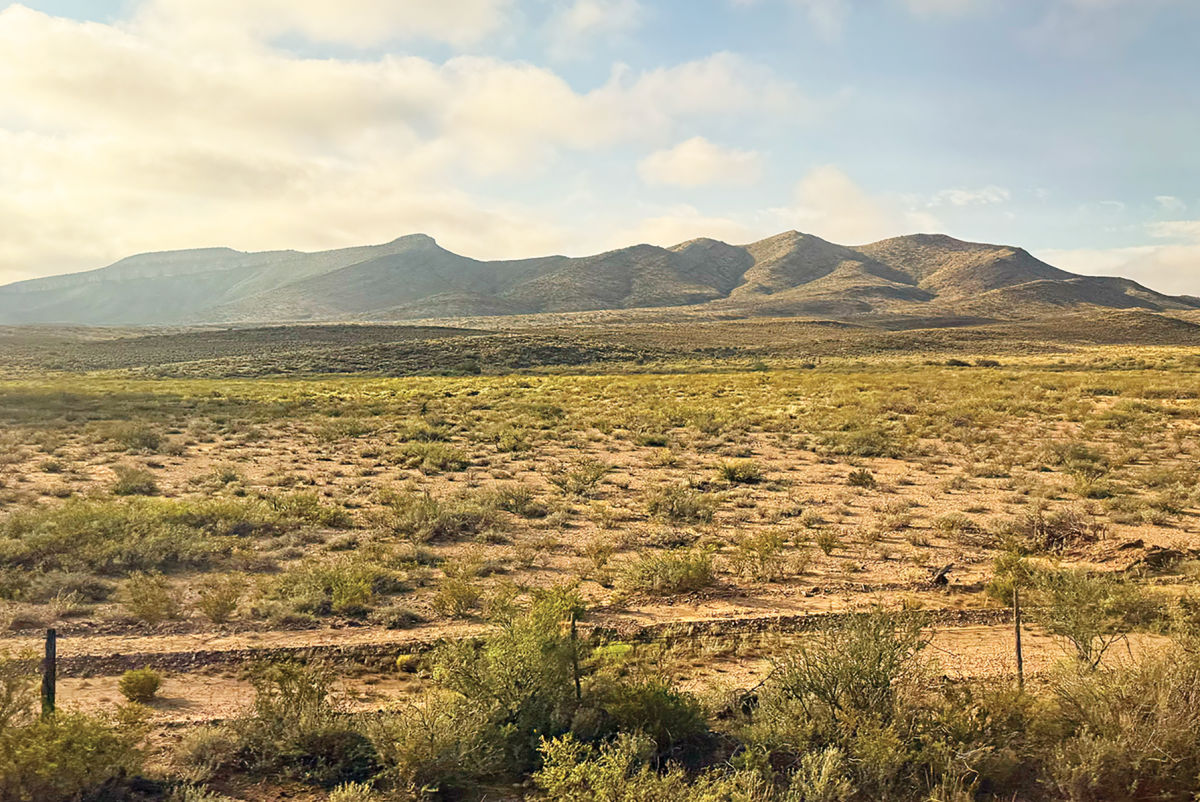 What Traveling Solo Across Texas Taught Me