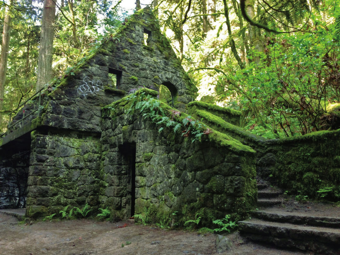 8 Essential Forest Park Hikes Portland Monthly