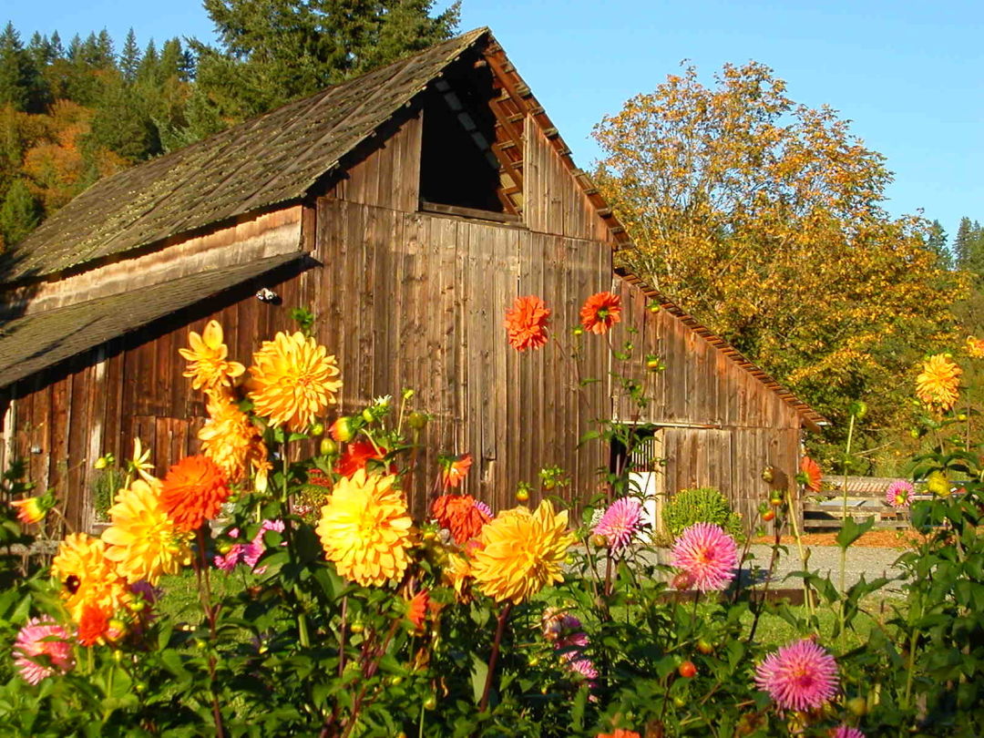 The Finest U-Choose Berry Farms round Seattle 2