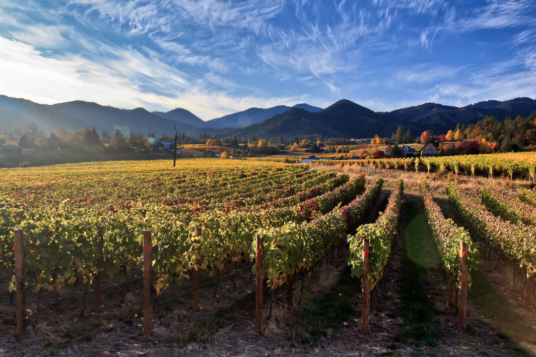 1017 wine country escapes ledger david etzws5