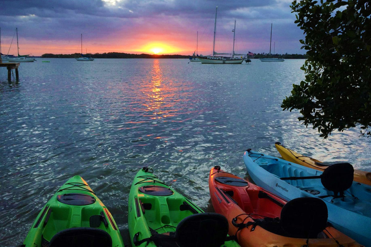 happy paddler kayak tours & ecoventures