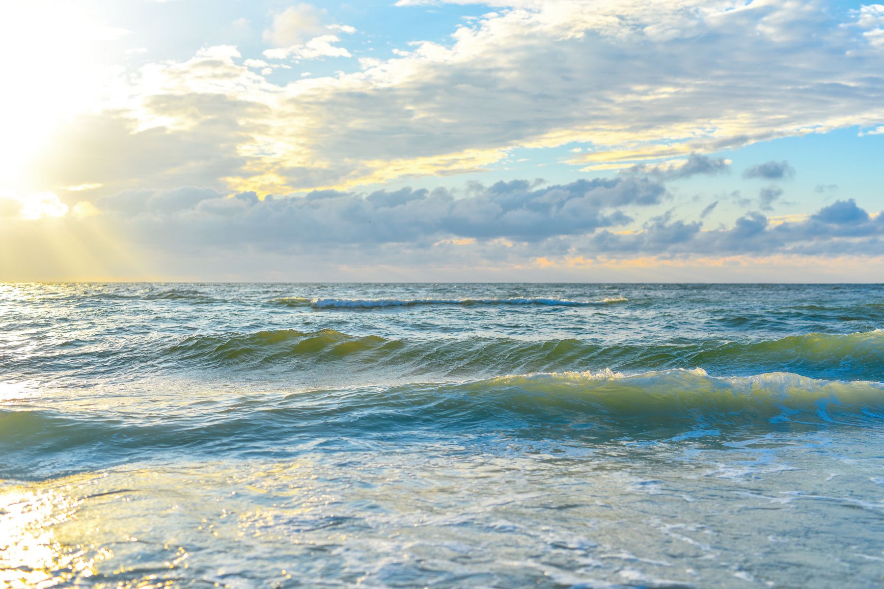 Navigating Sarasota’s Coastal Paradise: A Comprehensive Guide To Public 