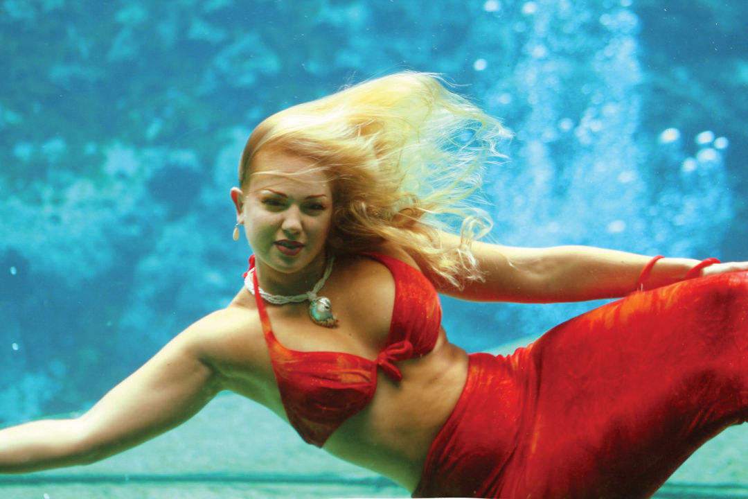 Weeki wachee mermaid show z1lteo