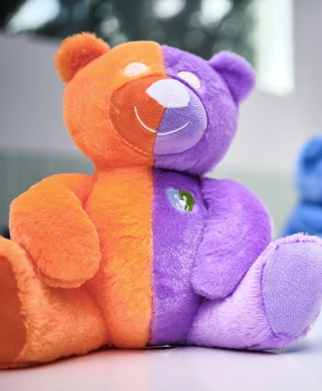 teddy and bears