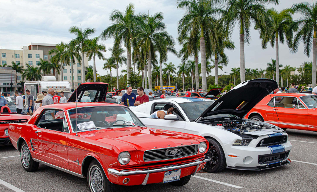 Two Fords from different generations are parked side by side.