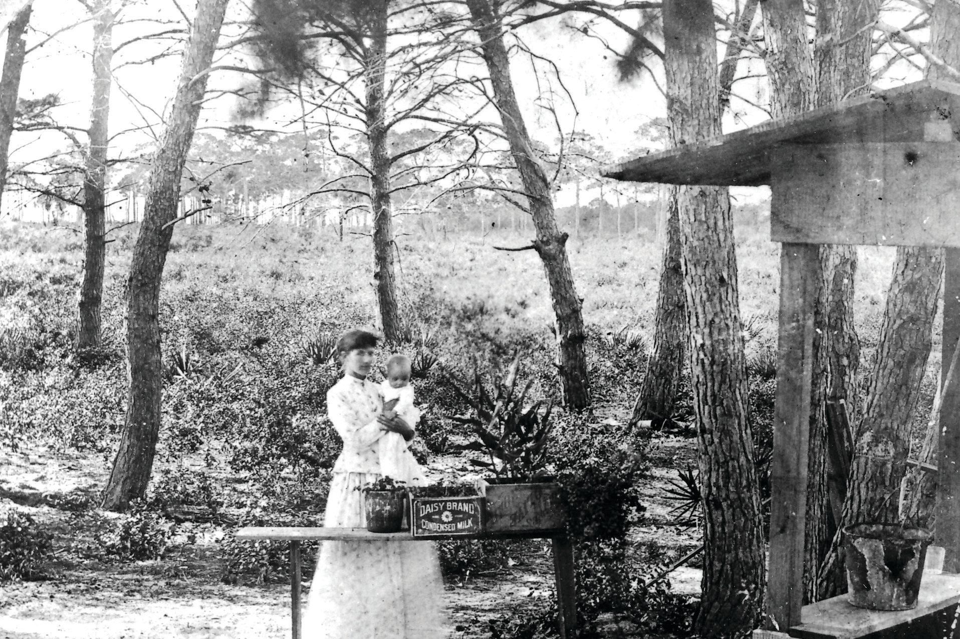 Sarasota's Famous Faces Sarasota Magazine