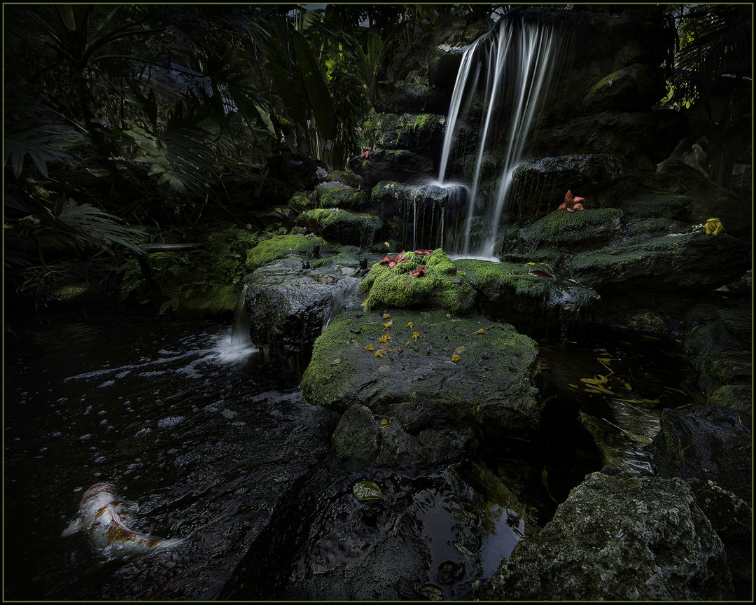 Selby waterfall best of show 2016 jc zeiss sm hfkyoc