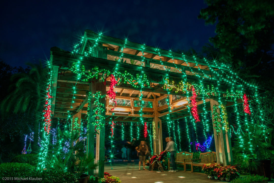 Selby gardens lights in bloom qymlfg