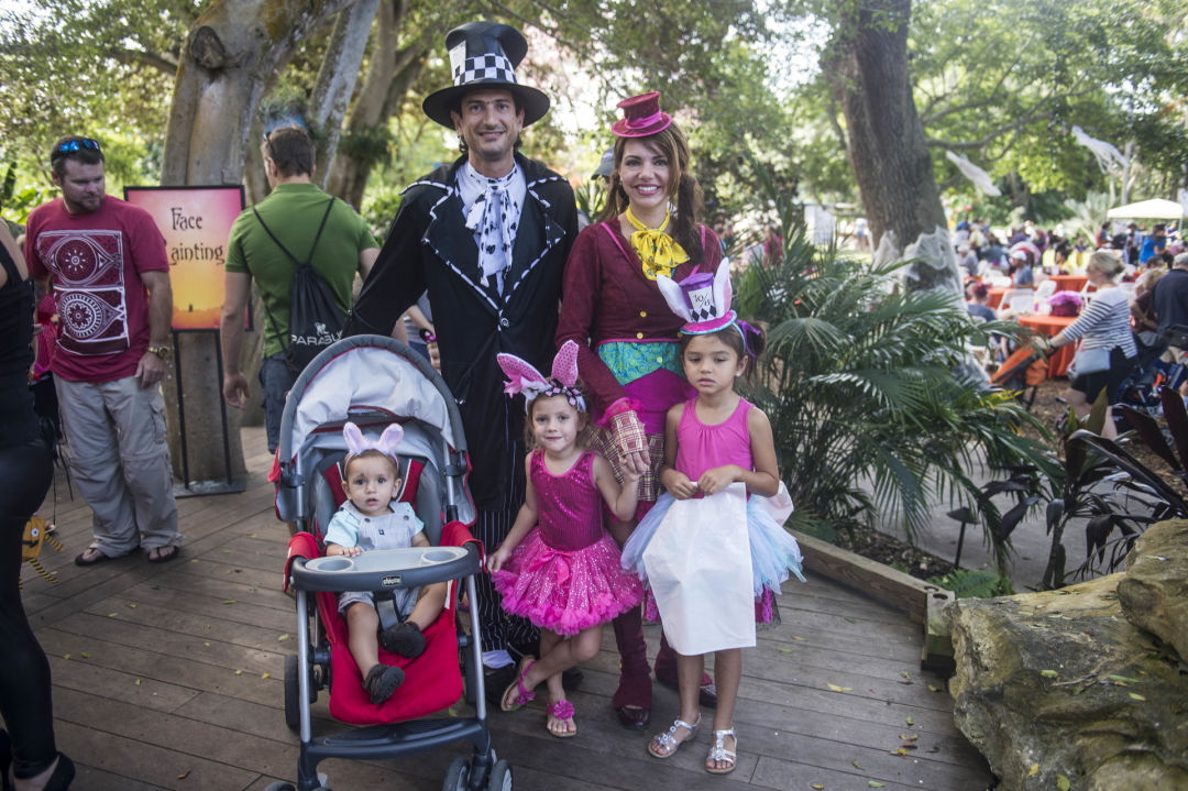 Selby gardens spooktacular 2016 pwlgki