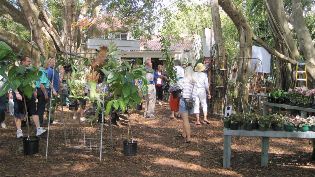 Fall Plant Fair Season Beckons Sarasota Magazine