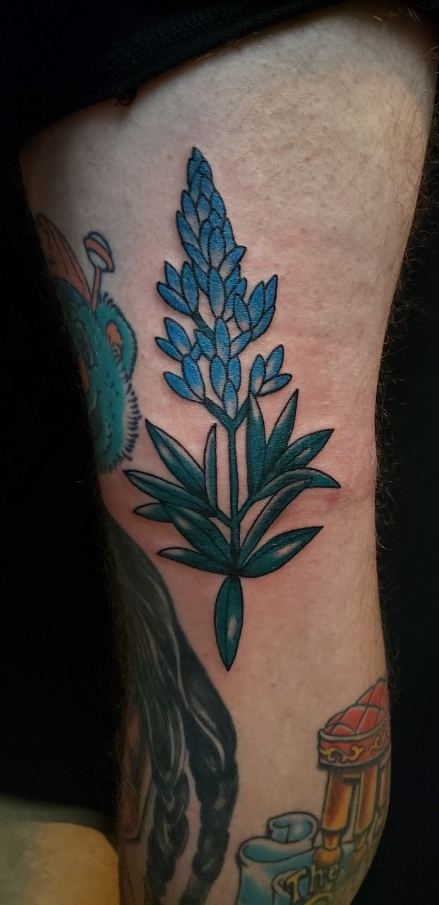 Bluebonnet and Indian Paintbrush tattoo tattoos wildflowers wildflowers  wildflowertattoo flowertattoo floraltattoo  Instagram