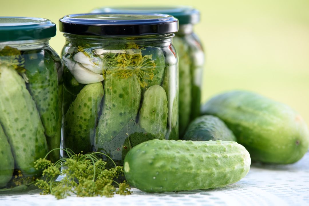 Pickled cucumbers 1520638 1920 nzvuld