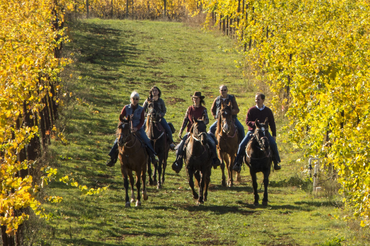 Explore Oregon S Willamette Valley By Horseback Portland Monthly