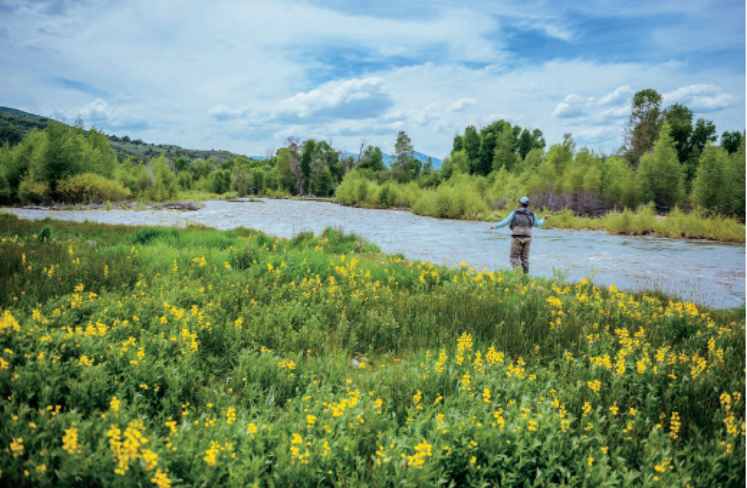 Pcsu 16 provo river fishing wdhthn