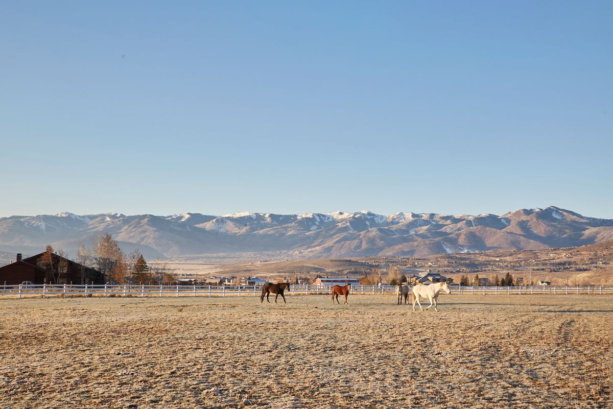 Horse Property Turns Hip as Silver Creek Gains Popularity Park City