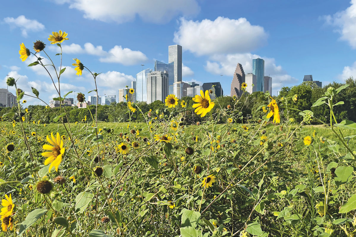 Spring in Houston Doesn’t Last, but the City Makes It Count