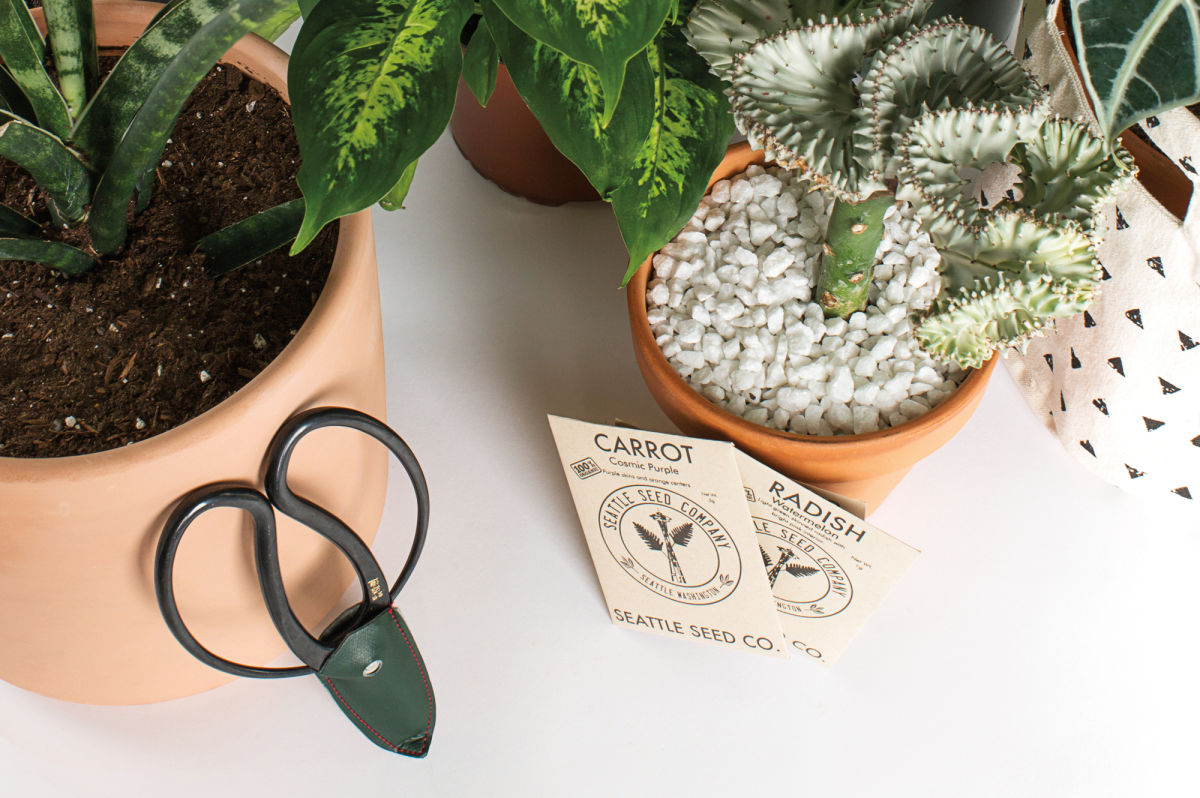 Meet Seattle's New Crop of Plant Stores Seattle Met