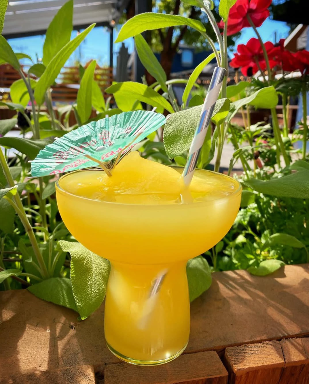 wonderly-frozen-boozy-drink-slushy_ynoydy The Best Boozy Slushies in Portland, Oregon