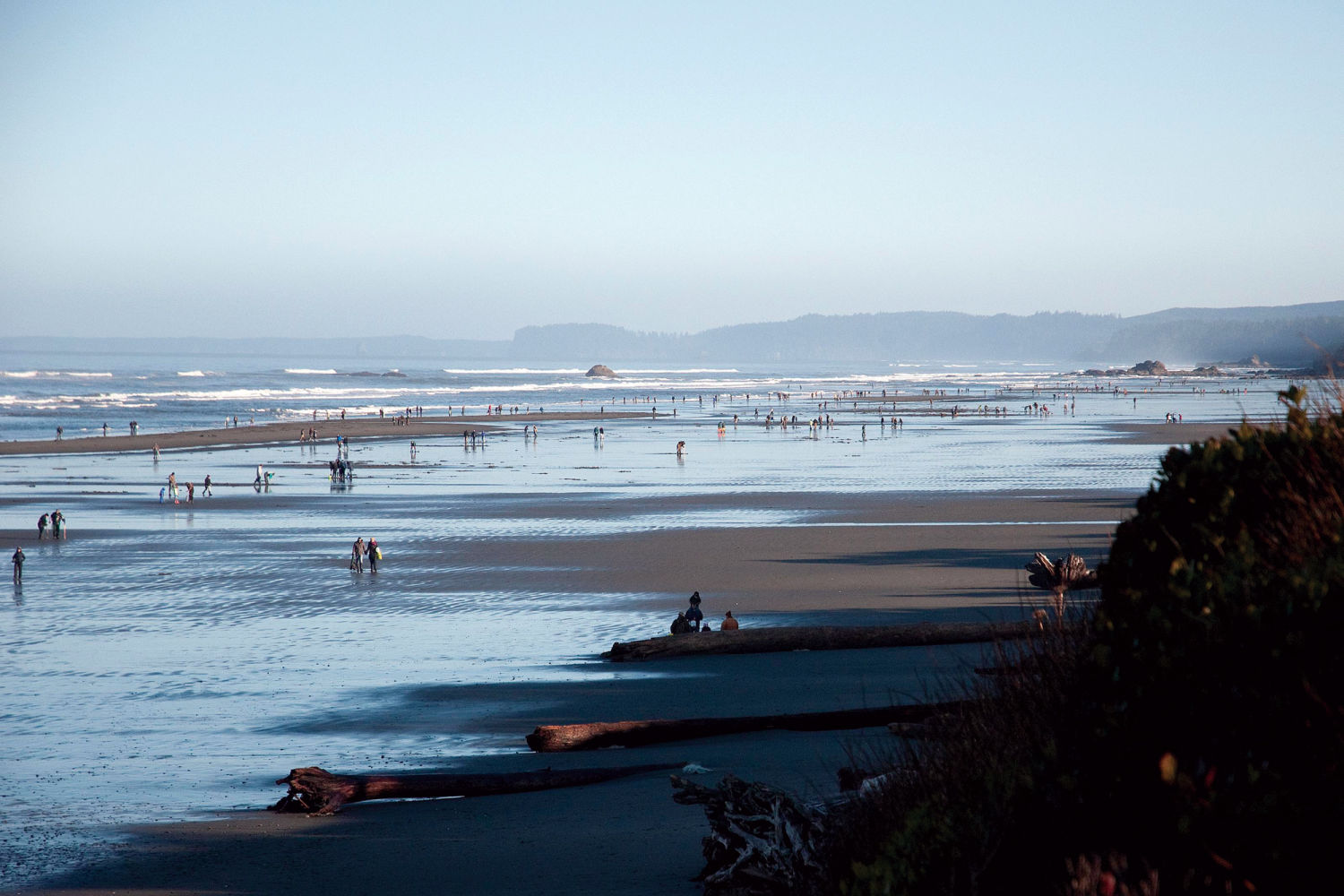 Tide Chart Pacific Beach Wa