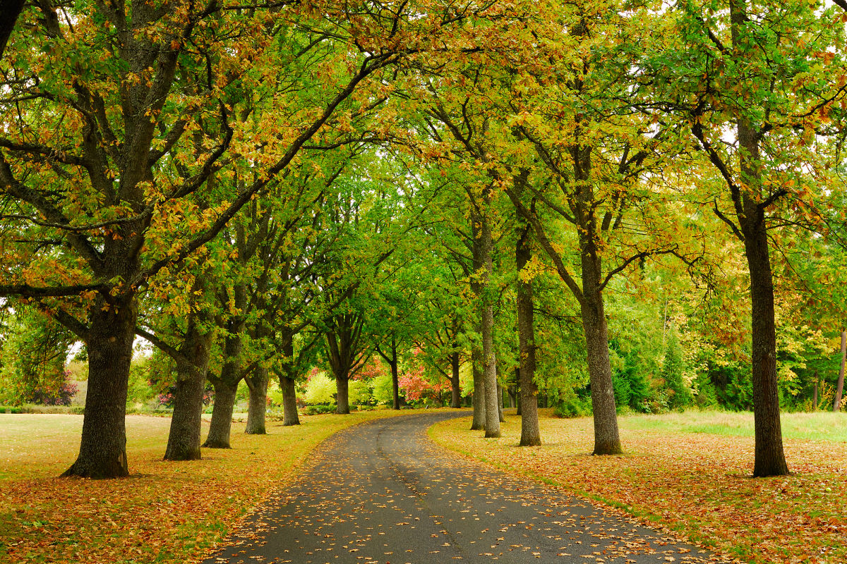 Seattle-Area Day Trips | Seattle Met