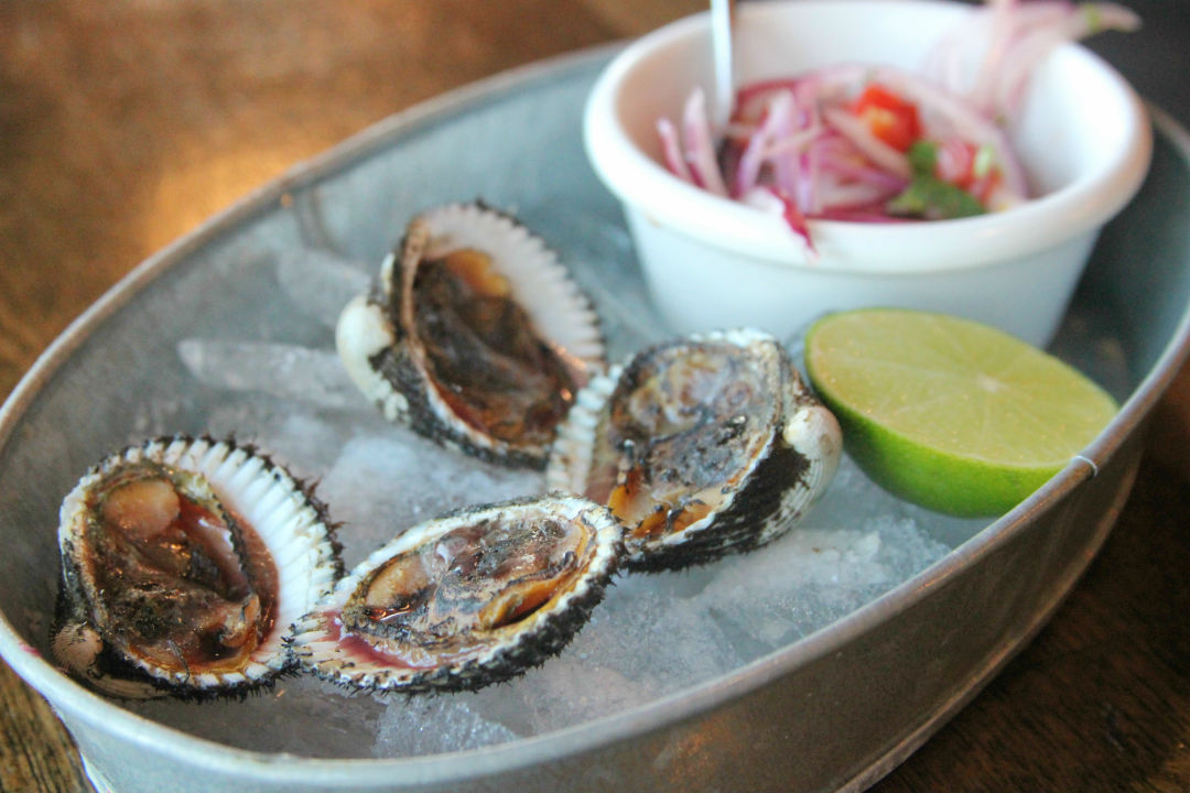 Andes cafe clams edk1ee