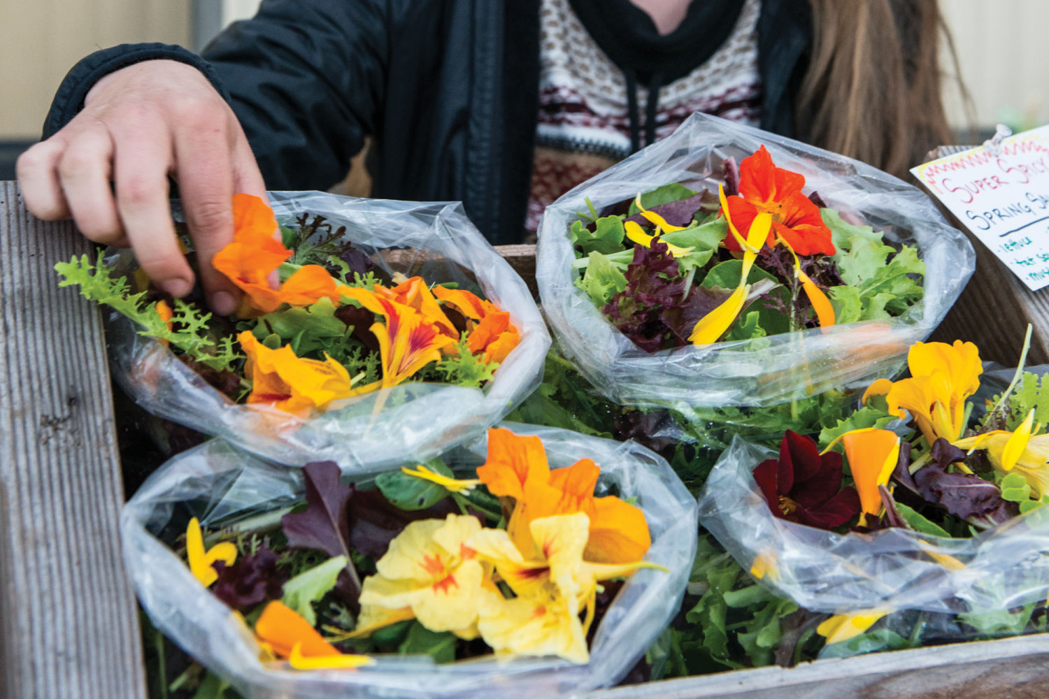 meet 15 washington farms putting food on your plate food farms