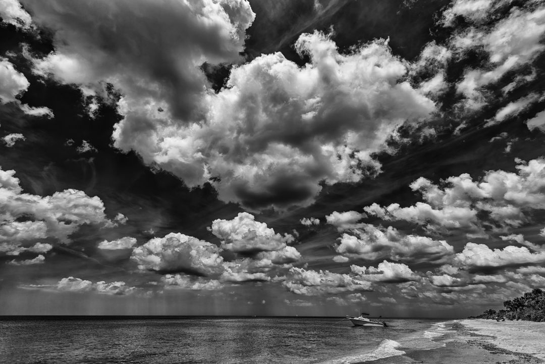 Richard king caspersen beach venice florida 13 014163 rrdrux