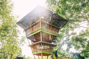 This Ain't Your Typical Treehouse | Portland Monthly This Ain't Your Typical Treehouse | Portland Monthly