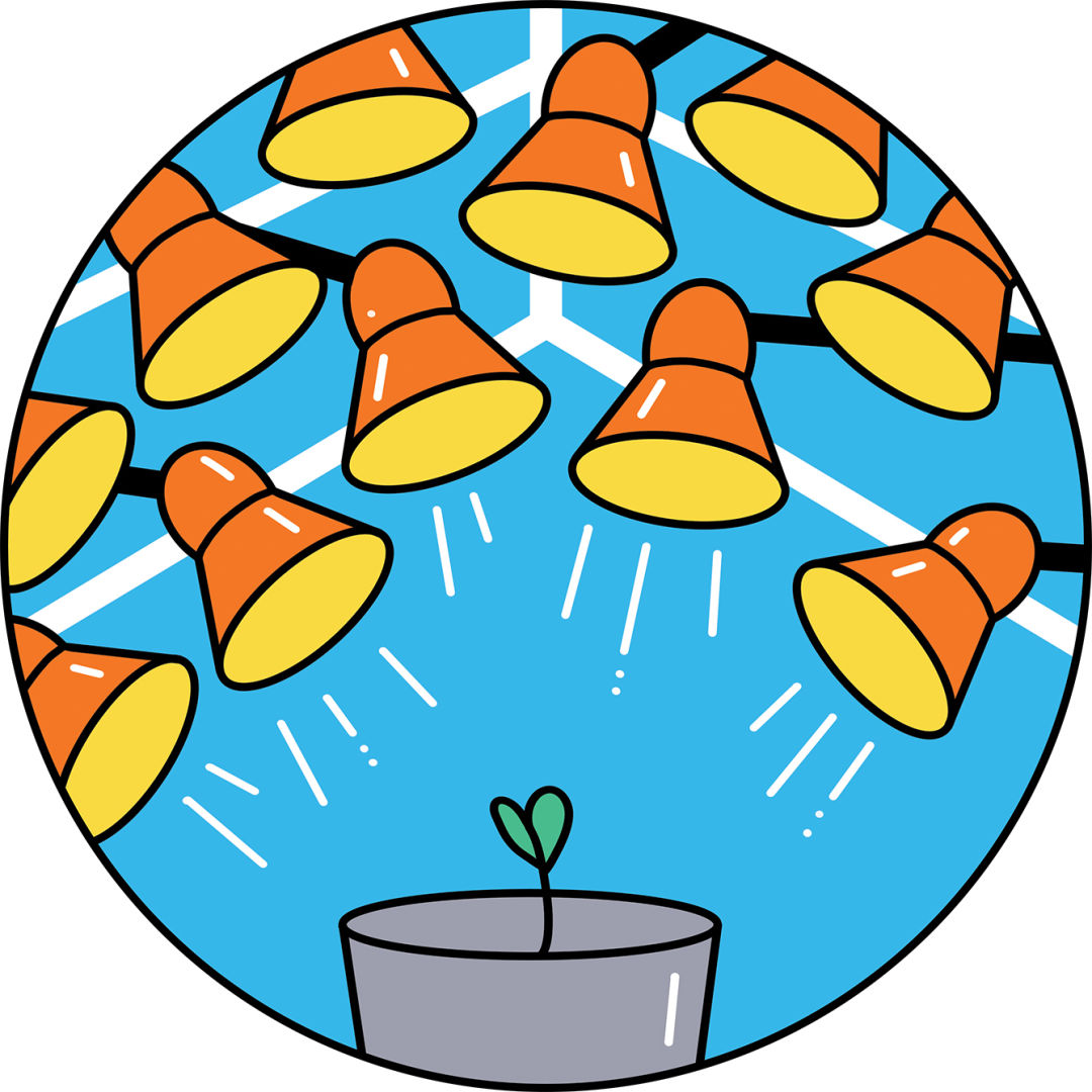 pumpkin-regatta-grow-largest-pumpkin_Sam-Island8_pvfa4d Guide to Growing a Giant Pumpkin and Paddling It to Victory