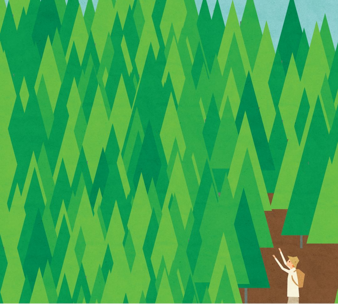 Pomo 0617 editors note forest park illustration p3te1i