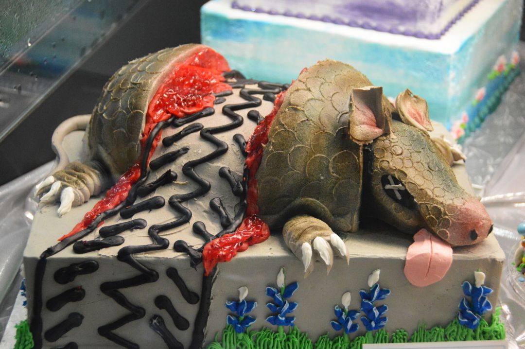 Armadillo oq6psk