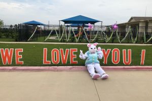 Chart Houston S Best Preschools Compared Houstonia Magazine