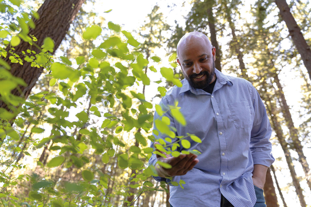 A man standing in the woods, shot from below with sun coming through the tree canopy above him