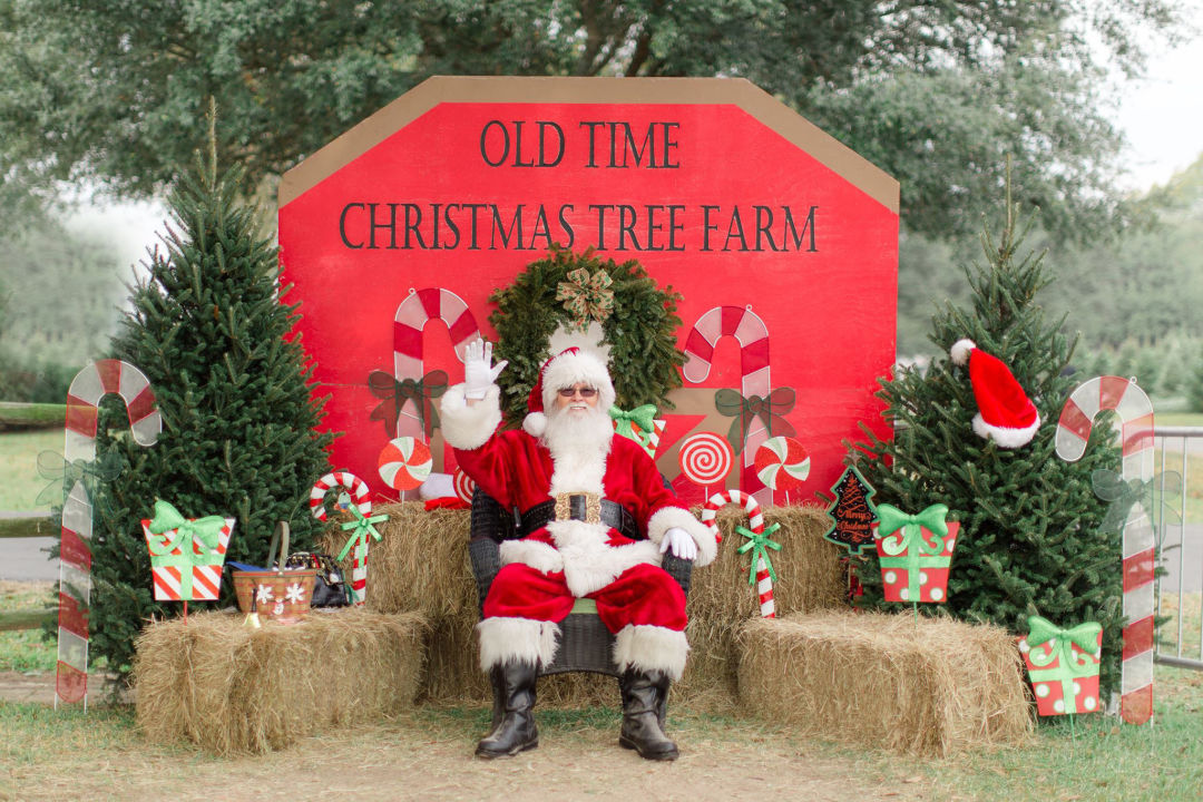 How to Decorate Your Christmas Tree Houstonia Magazine Old Time Christmas Tree Farm