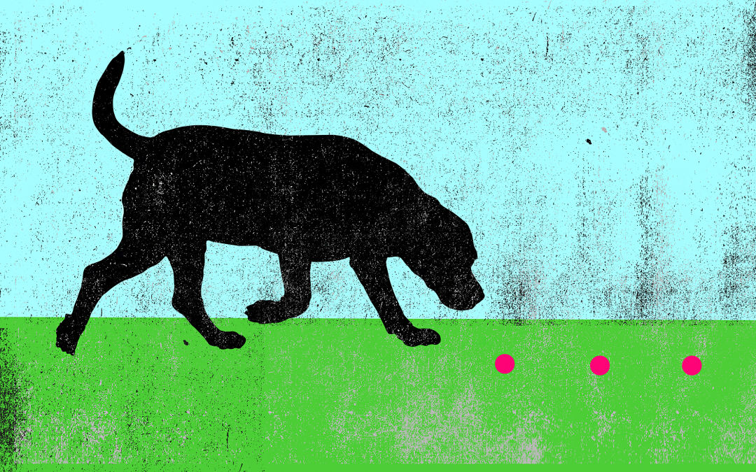 An illustration of a dog sniffing a red trail.