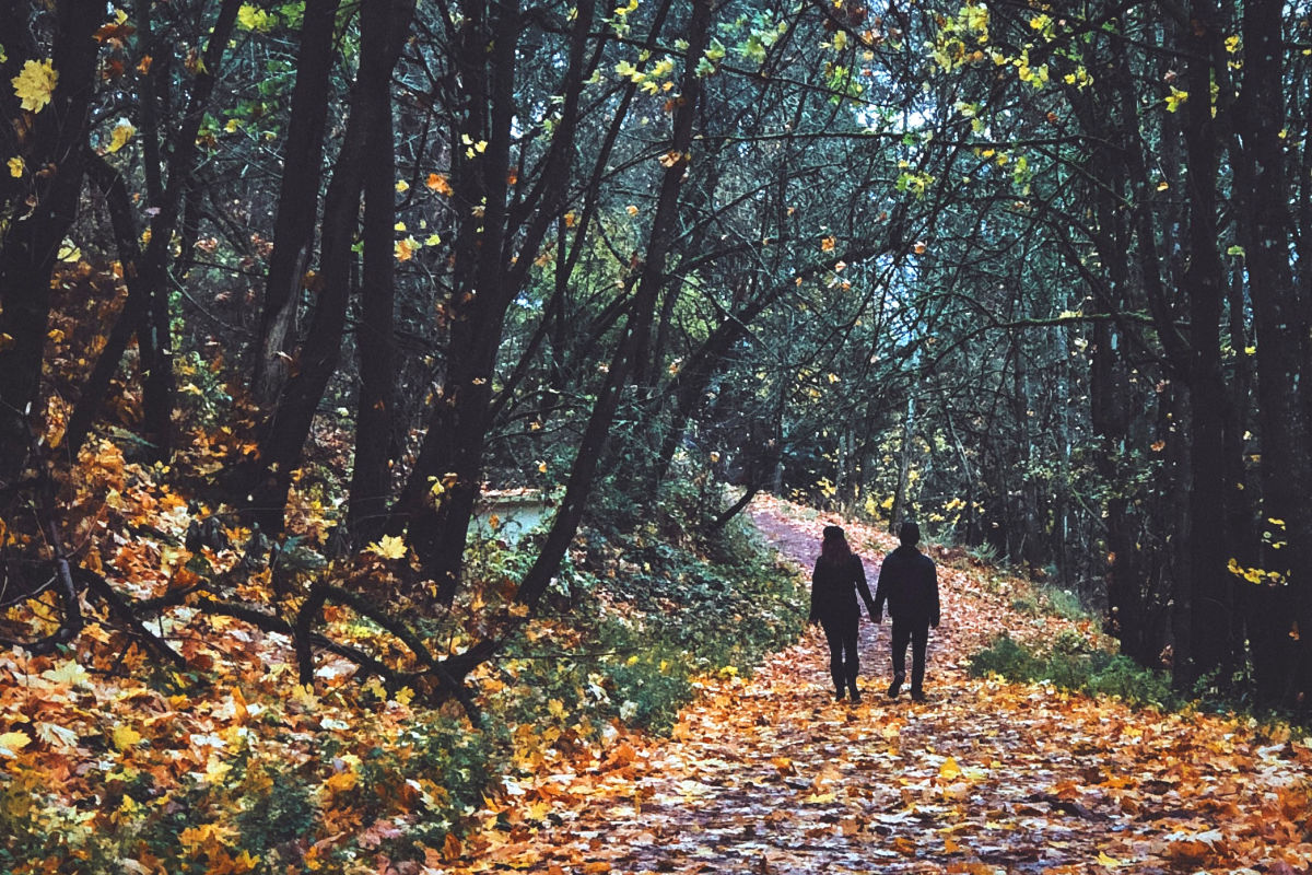 6 Post-Thanksgiving Hikes in and around Portland - Vimarsana News