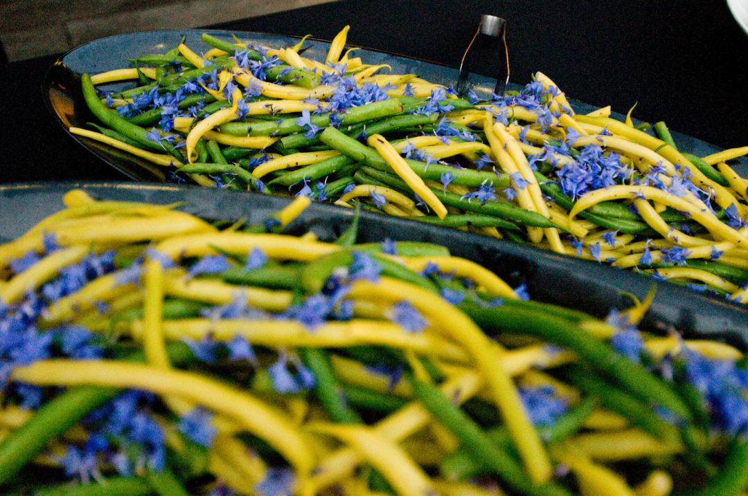 Green beans blossom and bee eydhy4