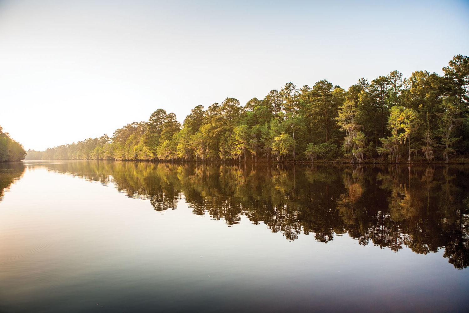 For The Casual Campers Martin Creek Lake State Park Houstonia