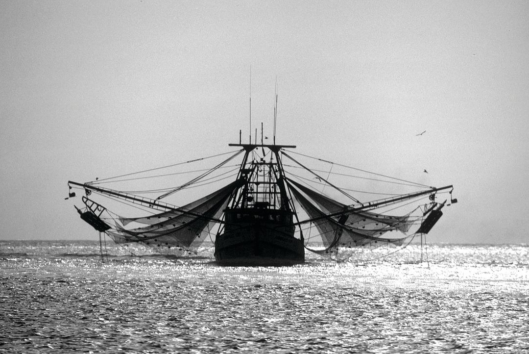 A Gulf shrimp boat