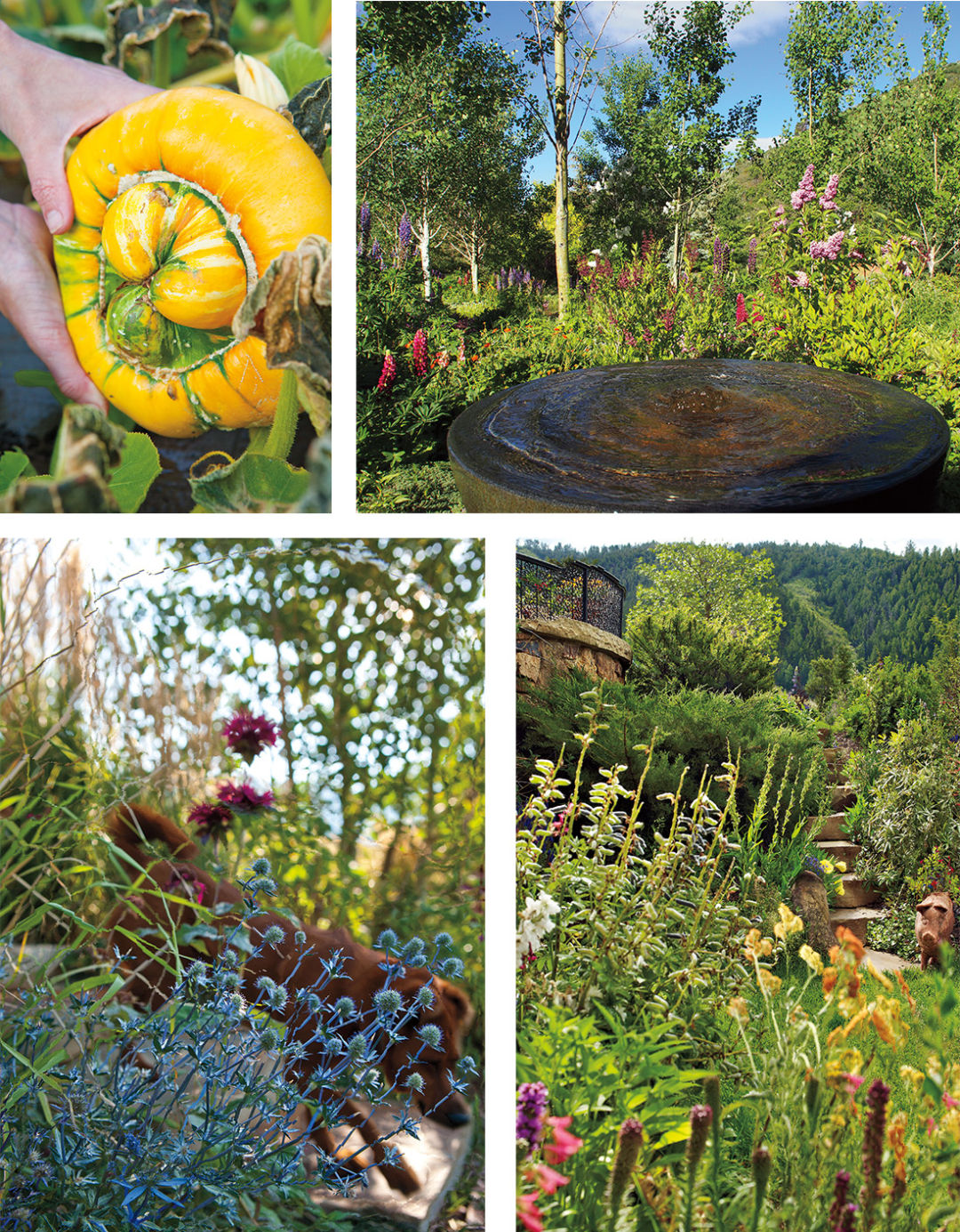 0713 nuture nature collage mpypuo