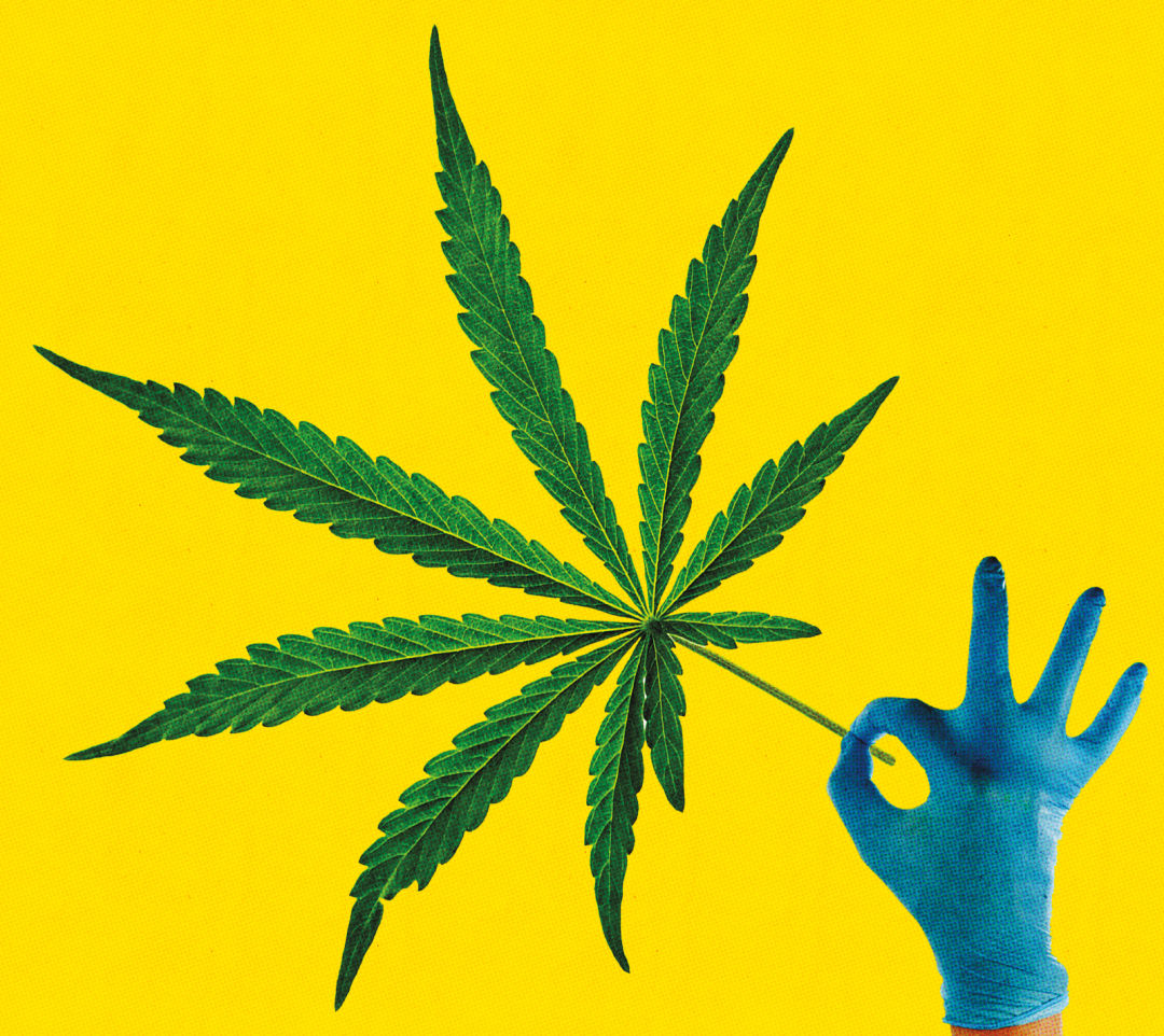 Pomo 0417 clackamas marijuana weed lsoffj