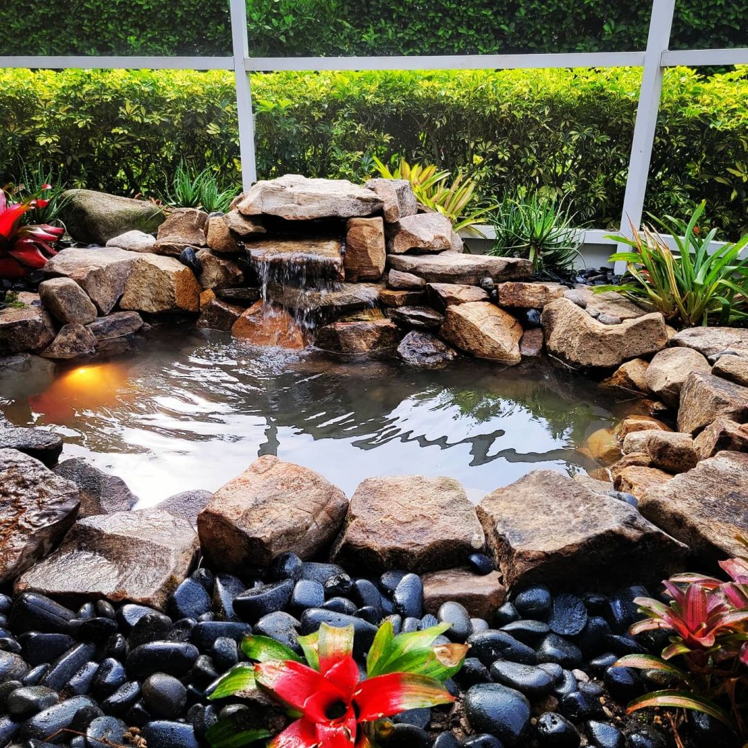 A pond with bromeliads.