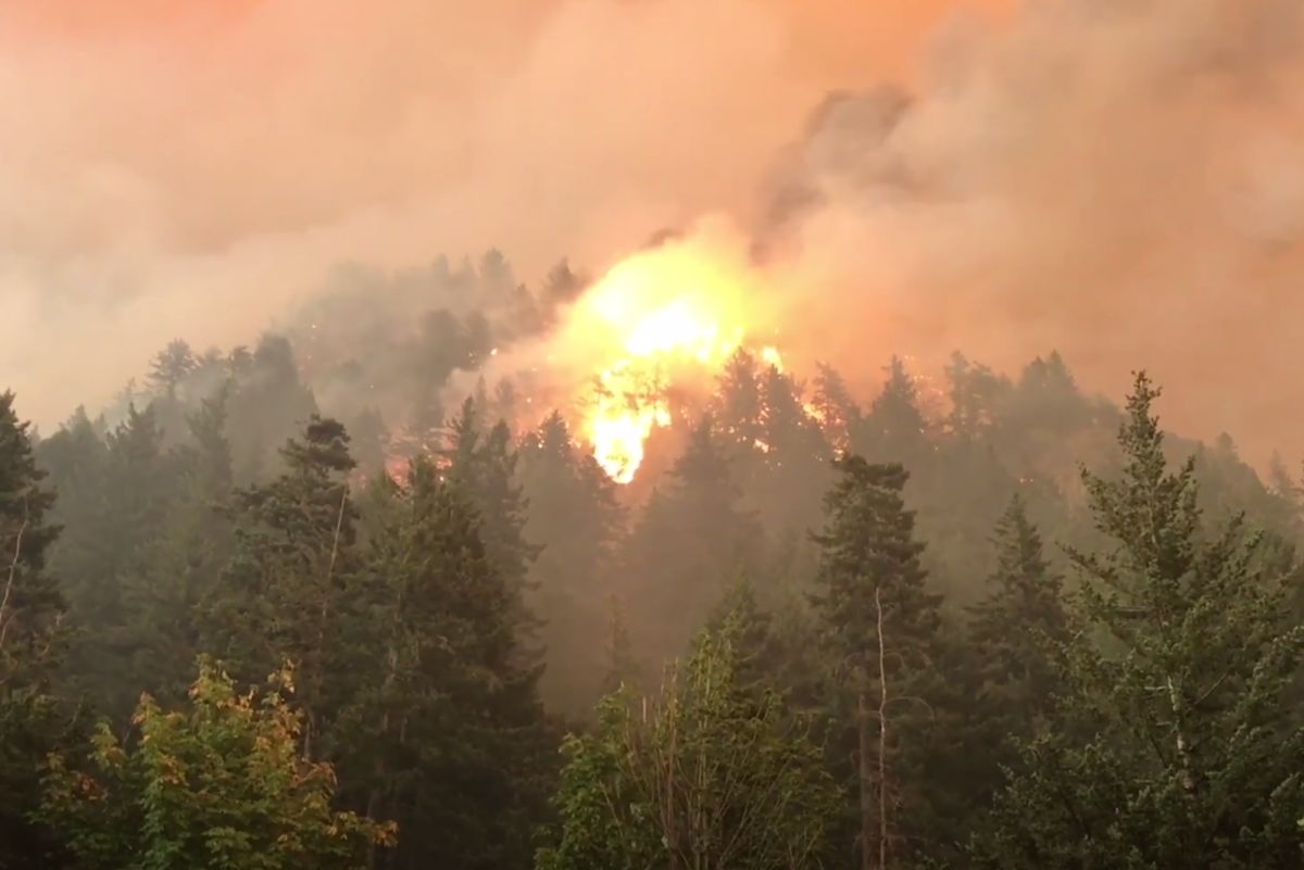 A New Documentary Tells the Stories Behind the Eagle Creek Fire