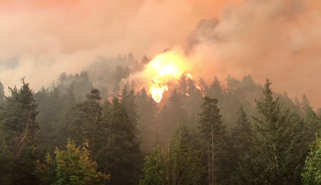 Did the Eagle Creek fire renew the Columbia Gorge?