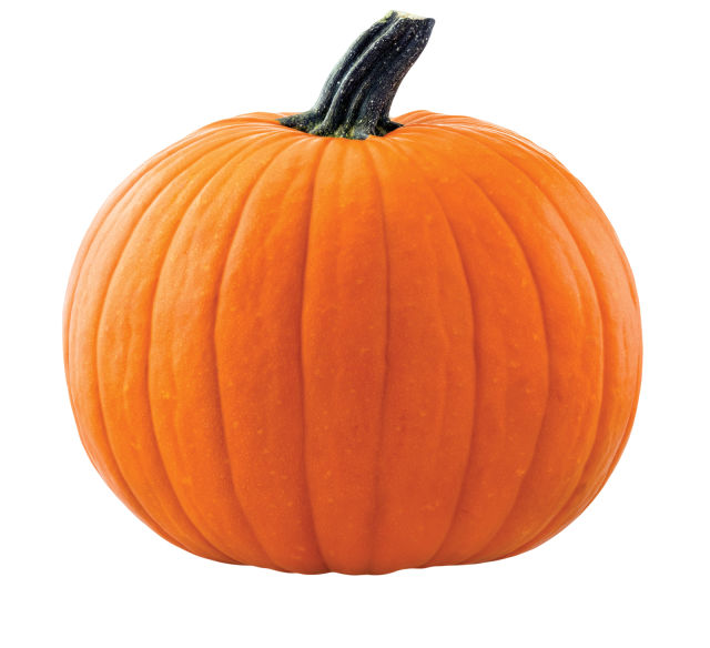 Shutterstock 323656067 topseller1 d8flid