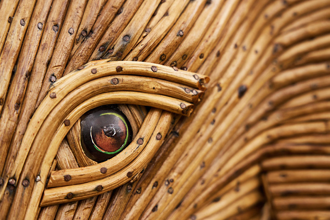 Close-up of a elephant's eye made of wood.