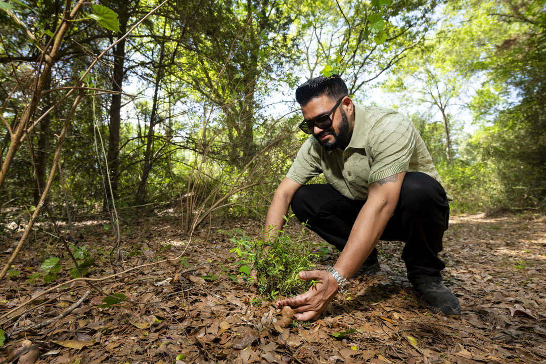 A man leans over and touches a plant on the forest ground.