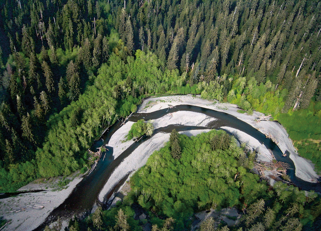 1117 laf ecotrust nwyzsf