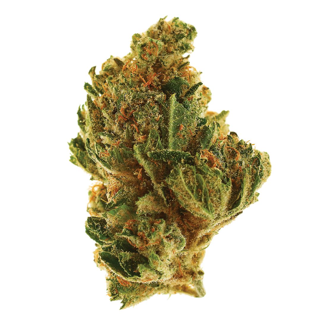 Best day ever headband kush 0356 s2vqfy