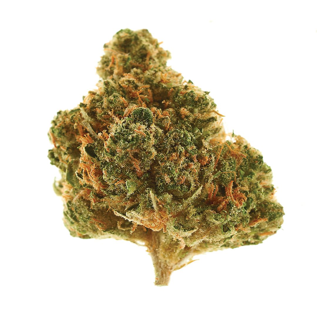 Best day ever stardawg 0364 syrtgp